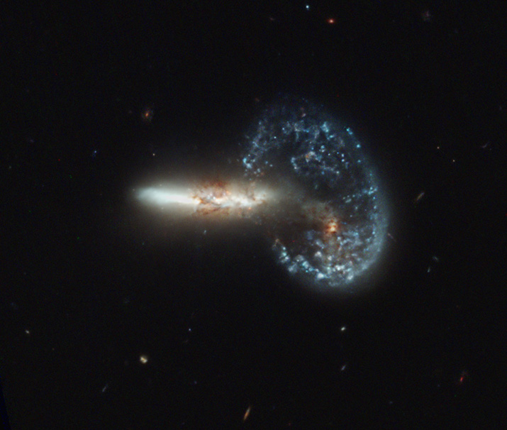 Arp 148 - Mayall's Object - Hubble Legacy Archive