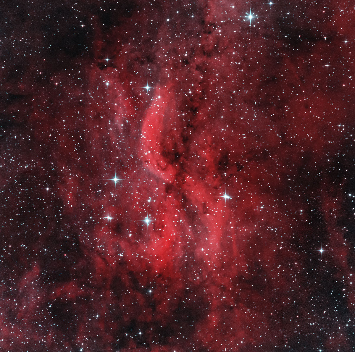 The Propeller Nebula