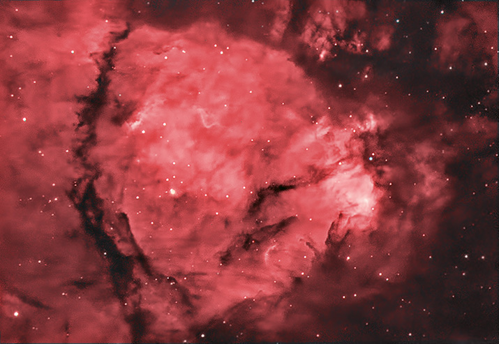 IC 1795 - The Northern Bear Nebula