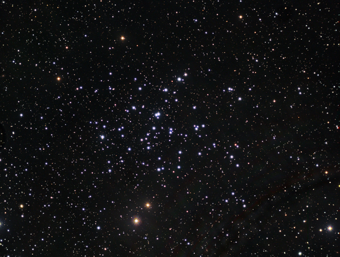 NGC1647