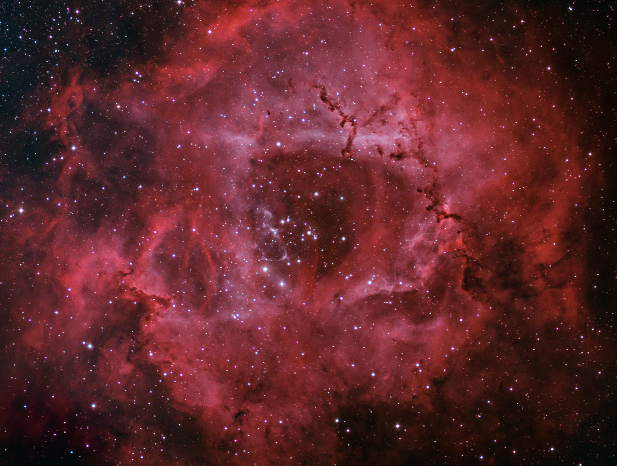 NGC 2237-9