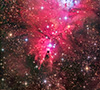 NGC 2264 
