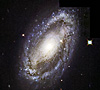 NGC 3185 - Hubble Legacy Archive