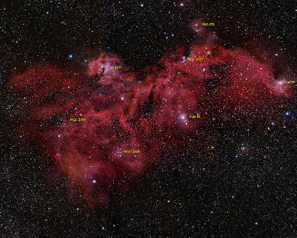 IC2177