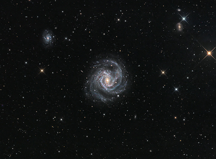 M61