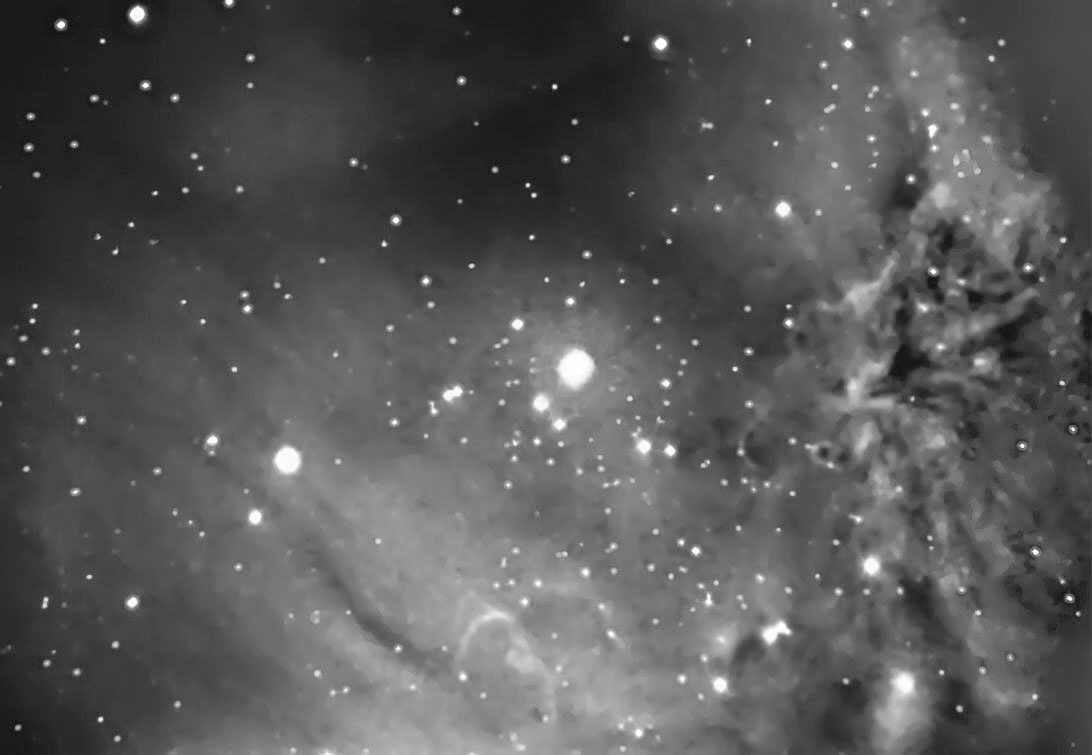 NGC 2264