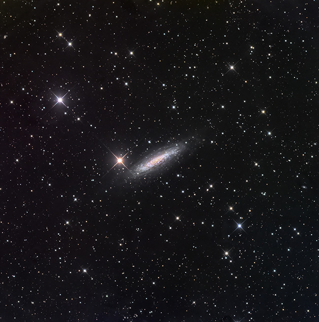 NGC 6503
