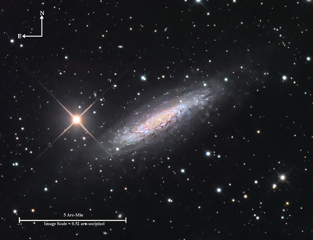 NGC 6503