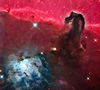 Horse Head and NGC2023