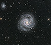 M61