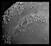 Moon Crater PLATO
