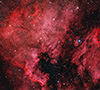 NGC 7000