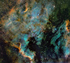NGC 7000